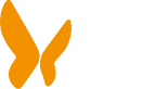 Promo Service Team